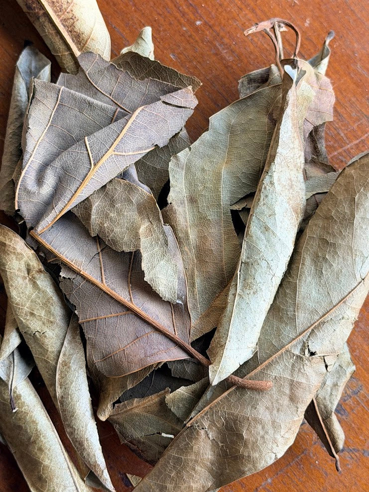 Dried soursop leaves